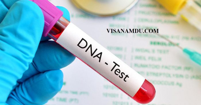USCIS Mỹ cập nhật chính sách về bằng chứng DNA